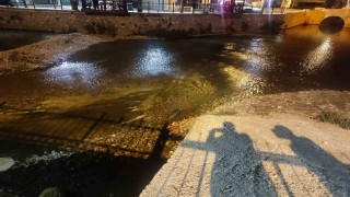 Konya'da su samuru sürprizi
