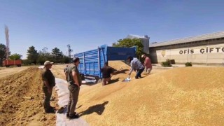 Konyada TMOdan 2 milyon tona yakın hububat alımı