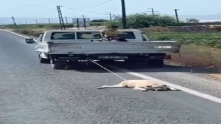 Köpeği kamyonetin arkasına bağlayıp sürükleyerek götürdü