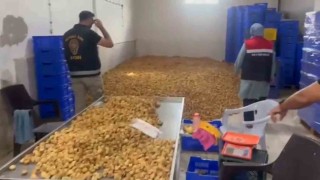 Köşk'te 20 milyon TL değerinde 25 ton etiketsiz kuru incir ele geçirildi