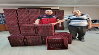 Köşkte incir üreticilerine hibeli kasa desteği