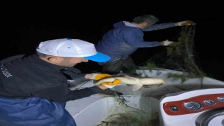 Kovada Gölünde kaçak avcılığa gece denetimi