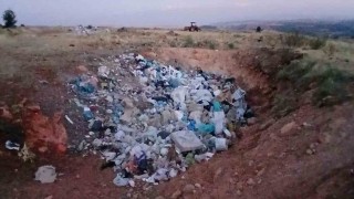 Köylünün çöp tepkisi: Bu sene iki danamız telef oldu