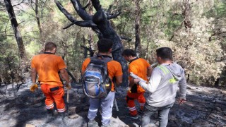 Kozan'da yanan 5 bin 900 hektarlık alanda yeniden yeşil vatan mesaisi başladı: Ağaçlar tek tek damgalanıyor