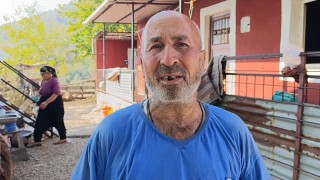 Kozandaki yangından önce görüntülenen yeşil orman, yangın sonrası siyaha büründü