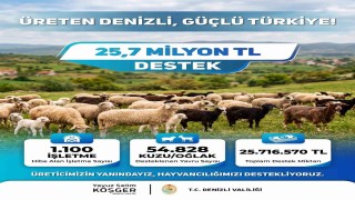 Küçükbaş üreticisine 25,7 milyon liralık can suyu