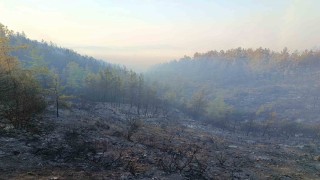 Kumlucadaki orman yangını kısmen kontrol altında