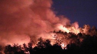 Kumlucadaki orman yangınında 10 ev zarar gördü, karadan müdahale devam ediyor