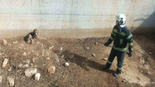 Kuru havuzda mahsur kalan köpek kurtarıldı