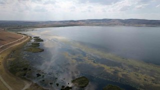 Kuruyan göl eski günlerine kavuştu, şimdiki hedef ise balık tutmak