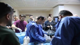 Kütahyada uluslararası hekimlere mikrodalga ablasyon eğitimi