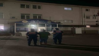 Kuyucak'ta ormanlık alanda kenevir yetiştiren şüpheli suçüstü yakalandı