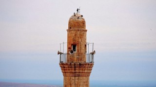 Mardin türküsünü işitme engelliler için işaret diliyle söylediler