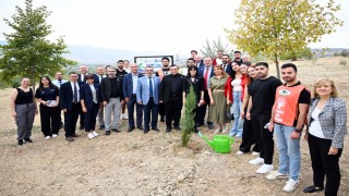 MCBÜ'den COP31 hamlesi