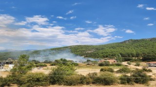 Menteşede otluk alanda yangın
