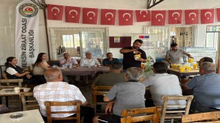 Mersin'de çiftçilere Akdeniz meyve sineğiyle mücadele eğitimi