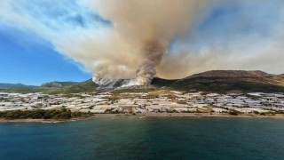 Mersinde orman yangınına 230 personel, 2 uçak ve 5 helikopterle müdahale