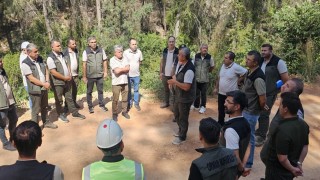 Mersin'de orman yollarında yangına karşı güvenli hat çalışması