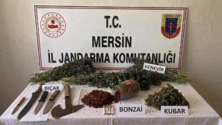 Mersin'de uyuşturucu operasyonu: 1 tutuklama