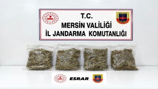 Mersinde uyuşturucu operasyonu: 2 gözaltı