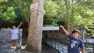 Mesire alanındaki çöp sorununa 'Çöp atan eşektir' yazılı tabelayla tepki