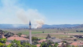 Milas Yaşyer'de ot ve sazlık yangını