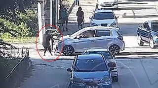 Minik Mavinin hayatını kaybettiği kazanın görüntüleri ortaya çıktı