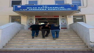 Muğlada jandarma ekipleri 101 aranan şahsı yakaladı