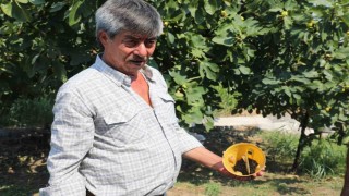 Muğlada üreticinin emeğine çevre dostu koruma