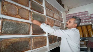 Muş'ta bal hasadı tamamlandı: 700 ton bal elde edildi