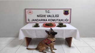 Niğdede uyuşturucu operasyonu: 2 şüpheliye işlem yapıldı