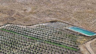 Niğdenin bin 800 rakımlı Tumlu Yaylasında Geven Balı bereketi