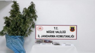 Niğdenin Bor ilçesinde uyuşturucu operasyonu