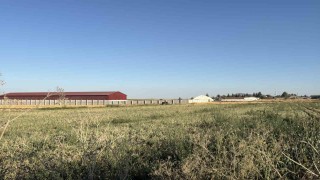 Odunpazarında tarım arazisinde mühimmat bulundu: Kontrollü şekilde imha edilecek