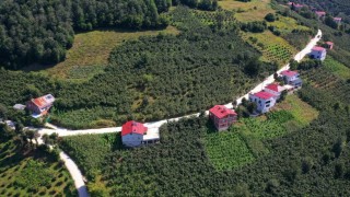 Ordu'da 35 yıllık yol sorunu çözüme kavuşturuldu