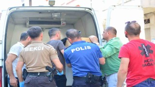 Orduda otomobilinde hareketsiz bulunan kalp hastası sürücü hayatını kaybetti