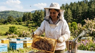 Osmaniye’de 2026 Arılı Kovan Destekleme Başvuruları Başladı