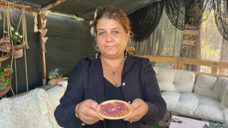 Osmaniyeli İş Kadını Atalık Tohumları Çoğaltıyor