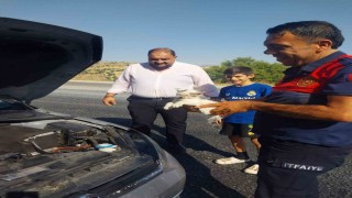 Otomobilin motoruna sıkışan kedi kurtarıldı