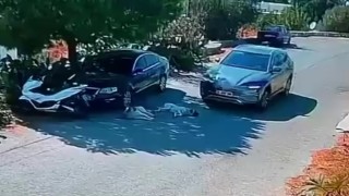 Otomobiliyle köpeklerin üzerinden geçti