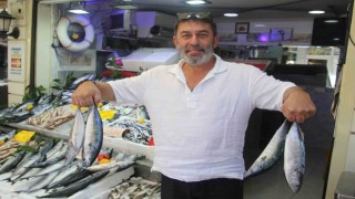 Palamut bolluğu tezgahlara yansıdı: 600 gram balık 100 lira