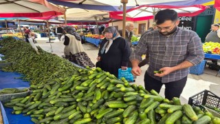 Pazarda turşu mesaisi başladı