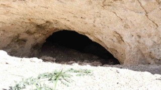 Pekmezin sırrı bu toprakta: Yozgattan Antalyaya, Almanyaya kadar gidiyor