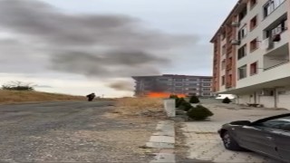 Pire kovarken kümesten oldu