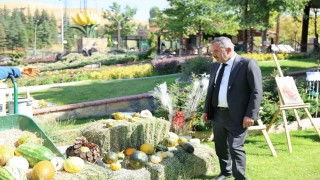 Pursaklarda bulunan Ata Bahçesinde yetiştirilen sebzeler ve meyveler hasat edildi