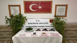 Sakarya'nın 3 ilçesinde uyuşturucu operasyonu: 4 tutuklama