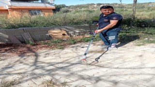 Samandağ'da yerleşim yerinde görülen yılan yakalanarak doğaya bırakıldı