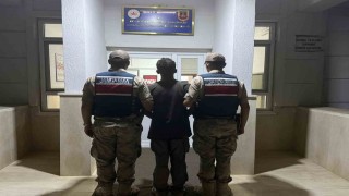 Şanlıurfa'da jandarmadan göçmen kaçakçılığı operasyonu: 20 gözaltı