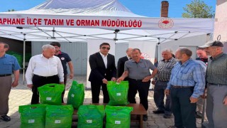 Şaphanede kiraz ve vişne üreticilerine bordo bulamacı desteği