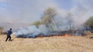 Saraykentte 150 dönüm arazi yandı